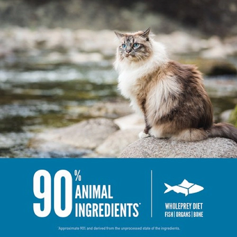 6 Fish Formula Adult Cat Dry Food (USA)