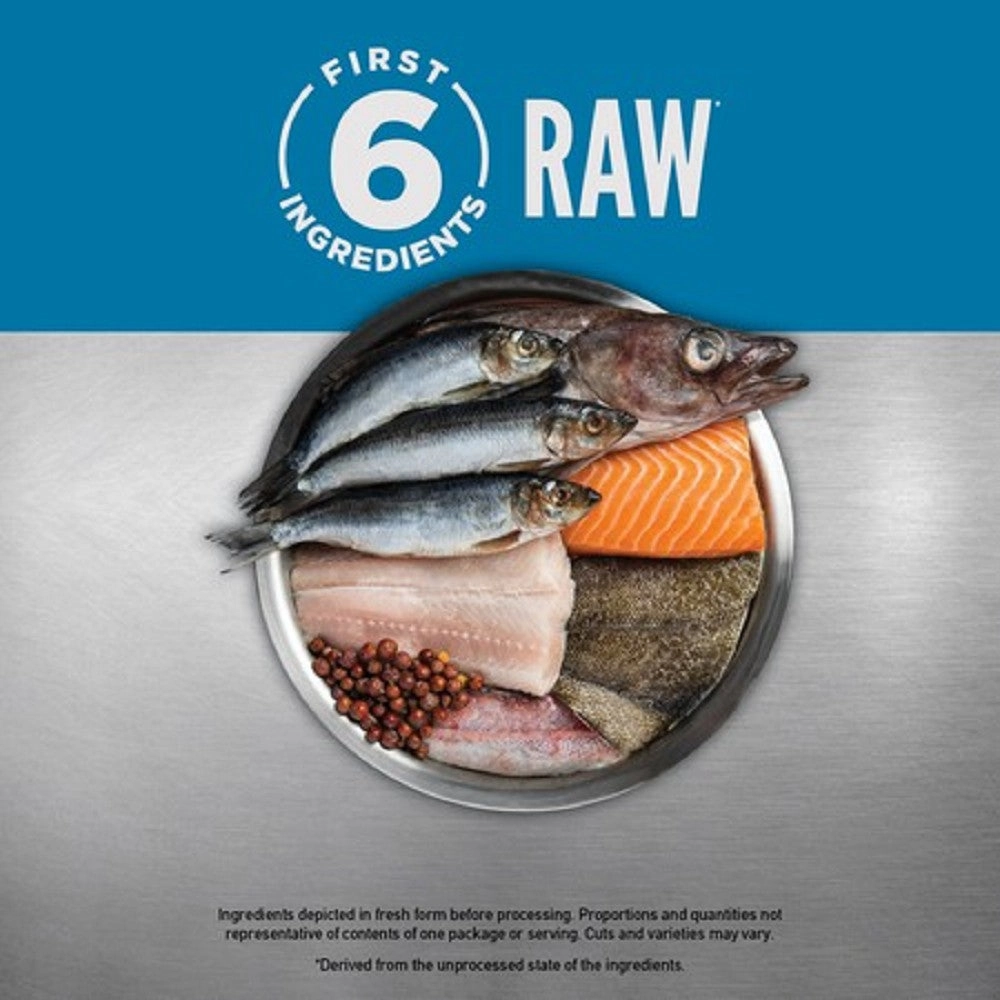 6 Fish Formula Adult Cat Dry Food (USA)