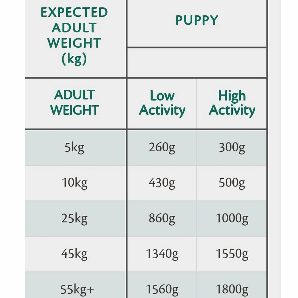 80% Gourmet Sausage Fresh Lamb Wet Dog Food