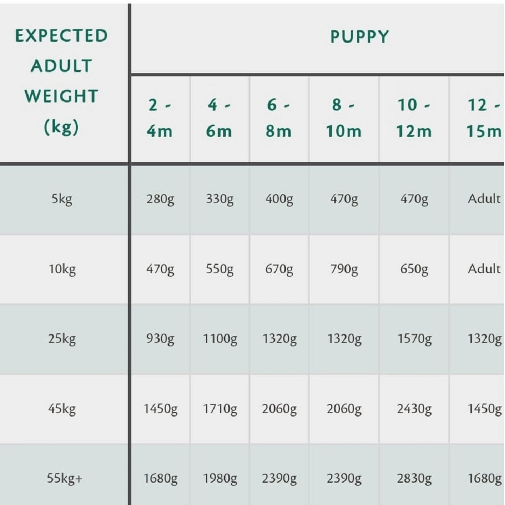 80% Gourmet Sausage Fresh Lamb Wet Dog Food