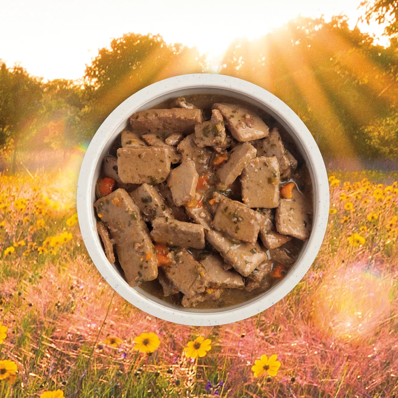 Acana Premium Chunks Grain Free Beef for Dogs
