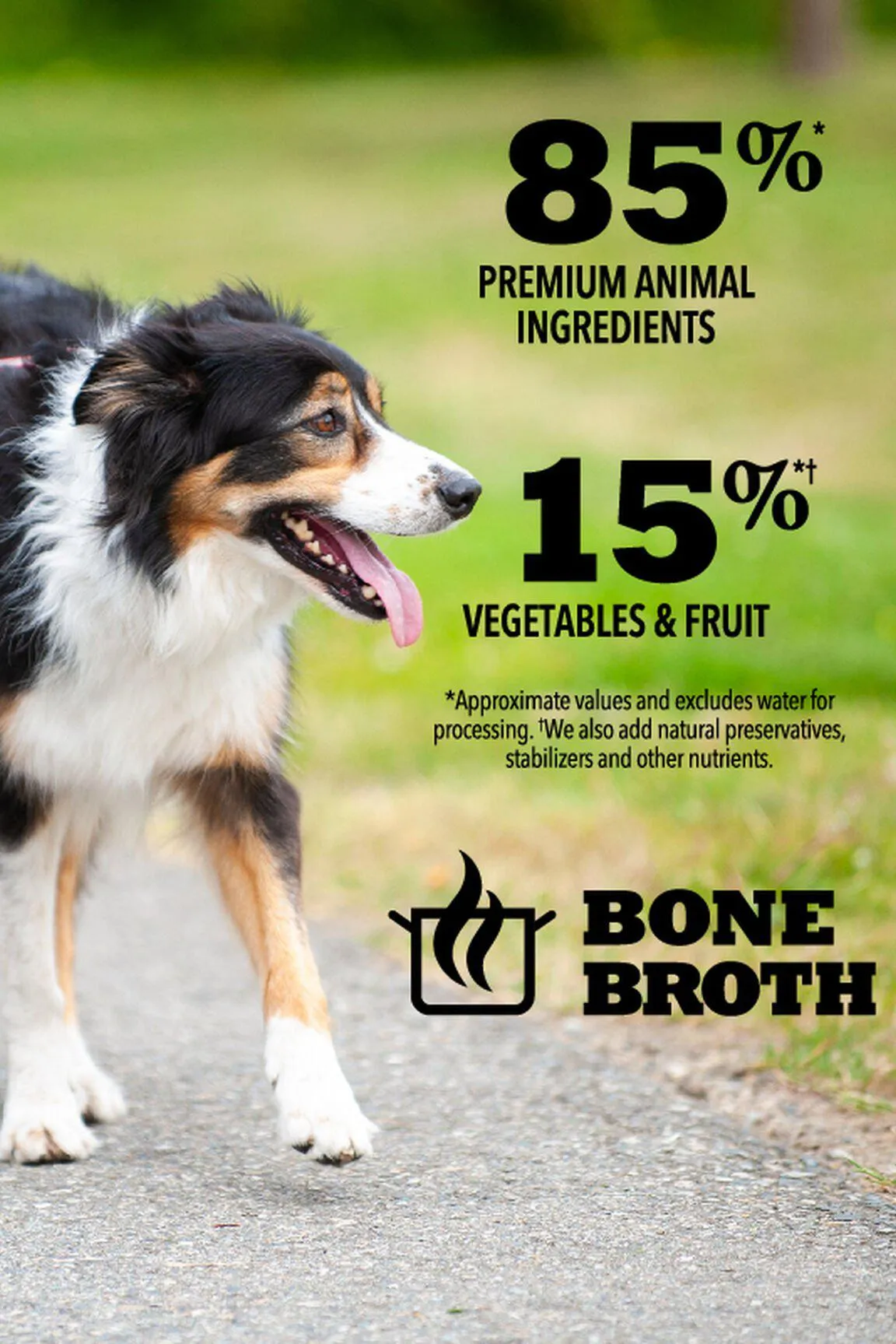 Acana Premium Chunks Poultry in Bone Broth Wet Dog Food
