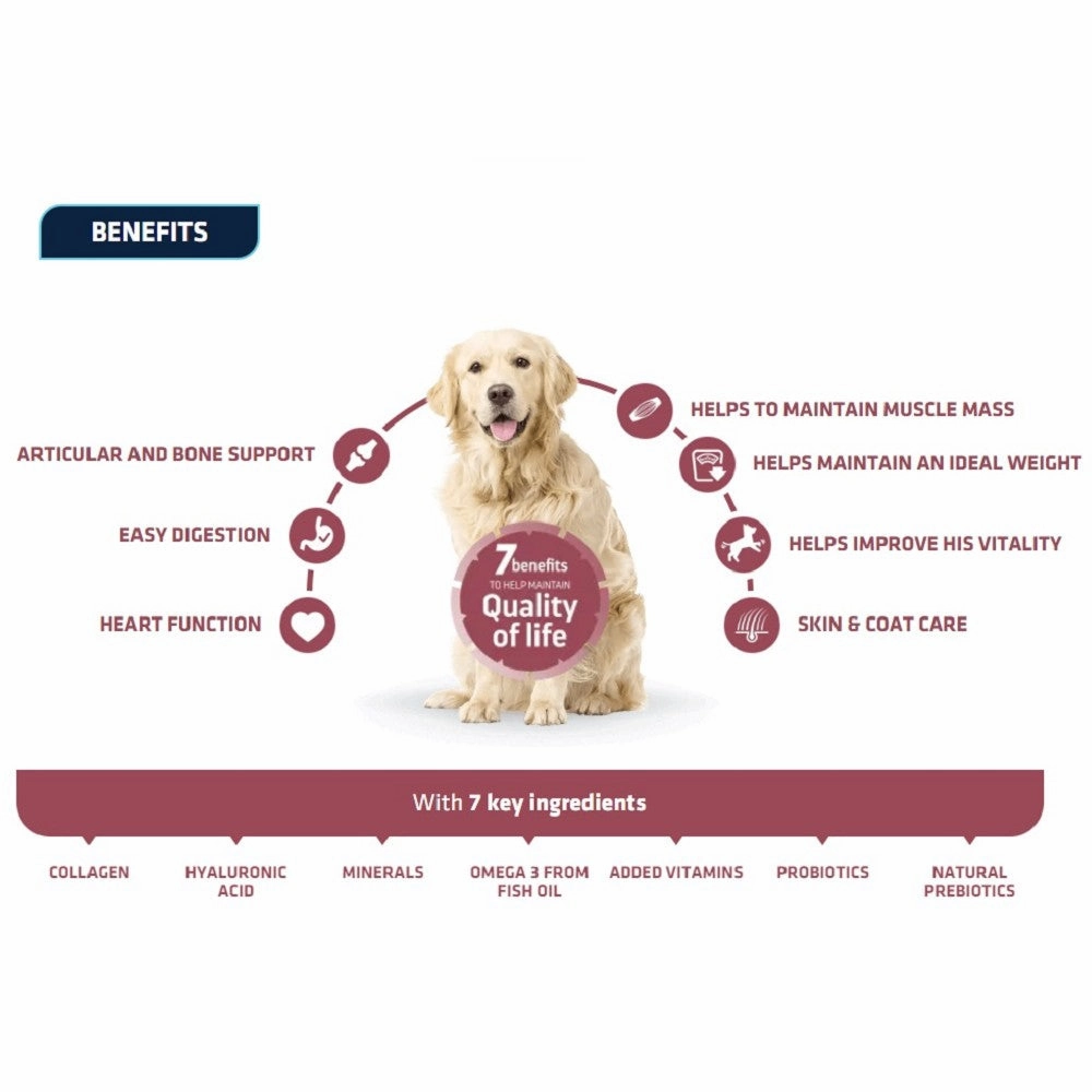 Active Defense - Chicken & Rice for Large Senior Vitality Dog Dry Food