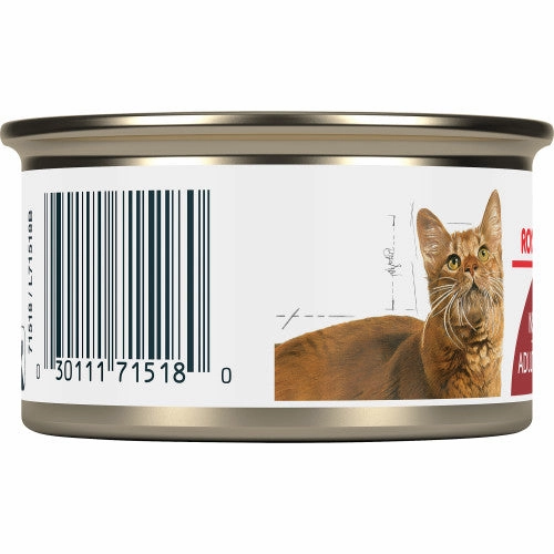 Adult Instinctive Thin Slices