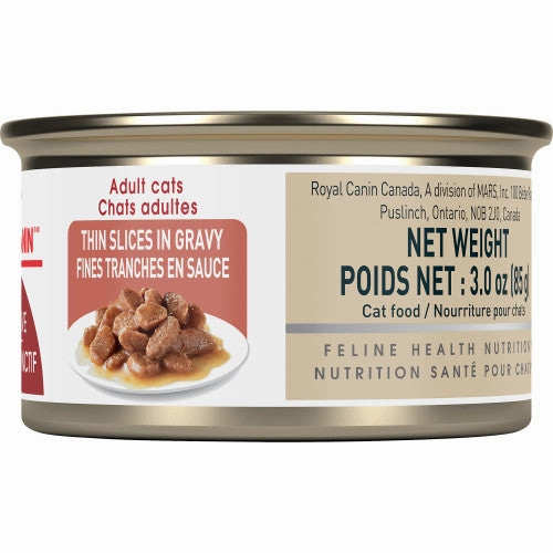 Adult Instinctive Thin Slices