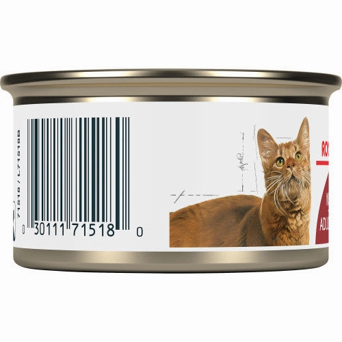 Adult Instinctive Thin Slices