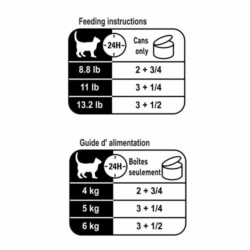 Adult Instinctive Thin Slices