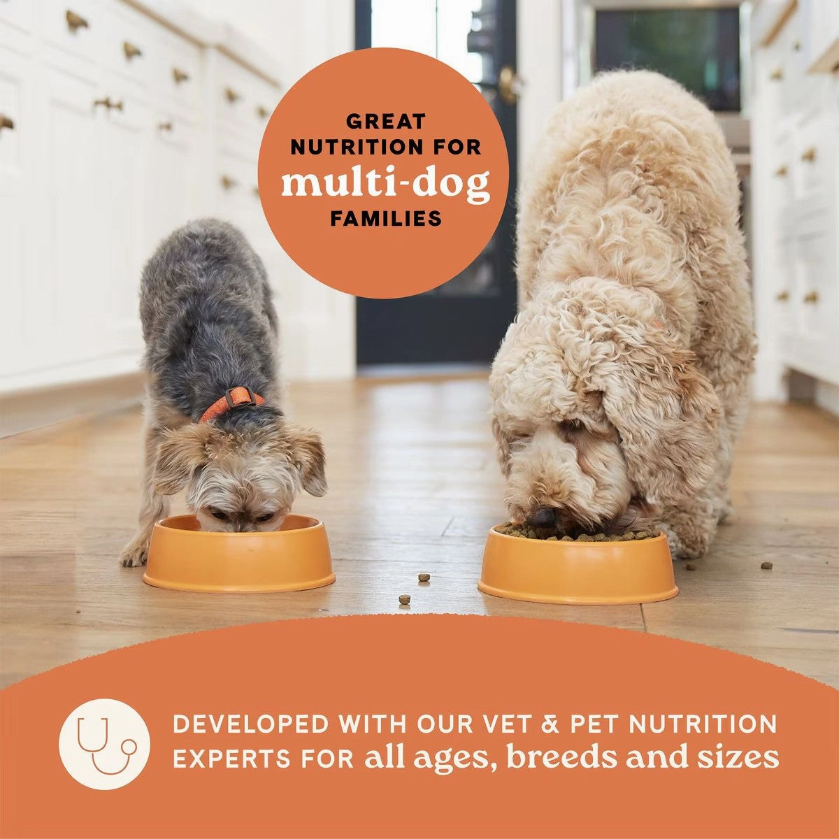 All Life Stages - Multi-Protein Formula Chicken, Turkey and Lamb Dog Dry Food