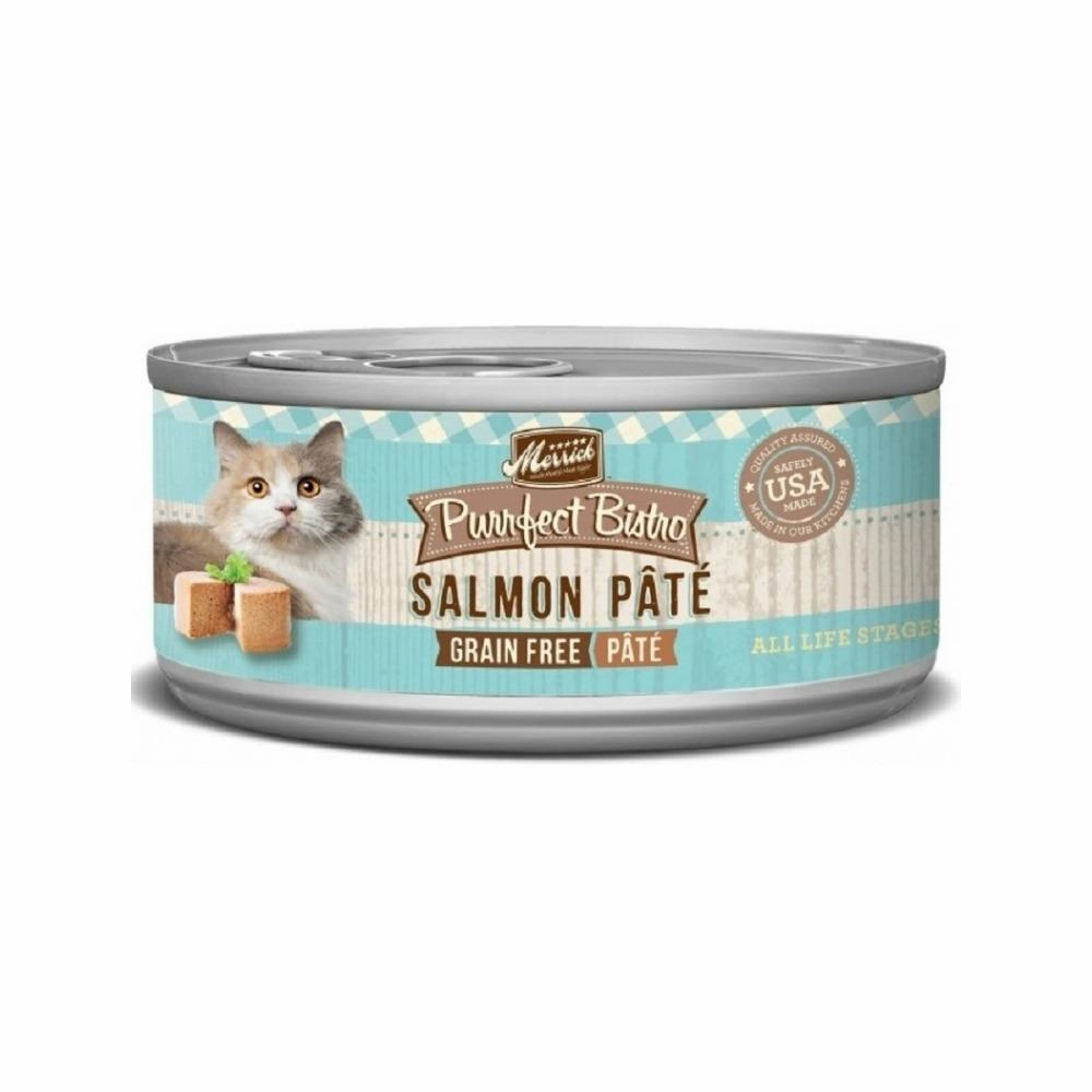 All Life Stages Grain Free Salmon Pate Cat Can