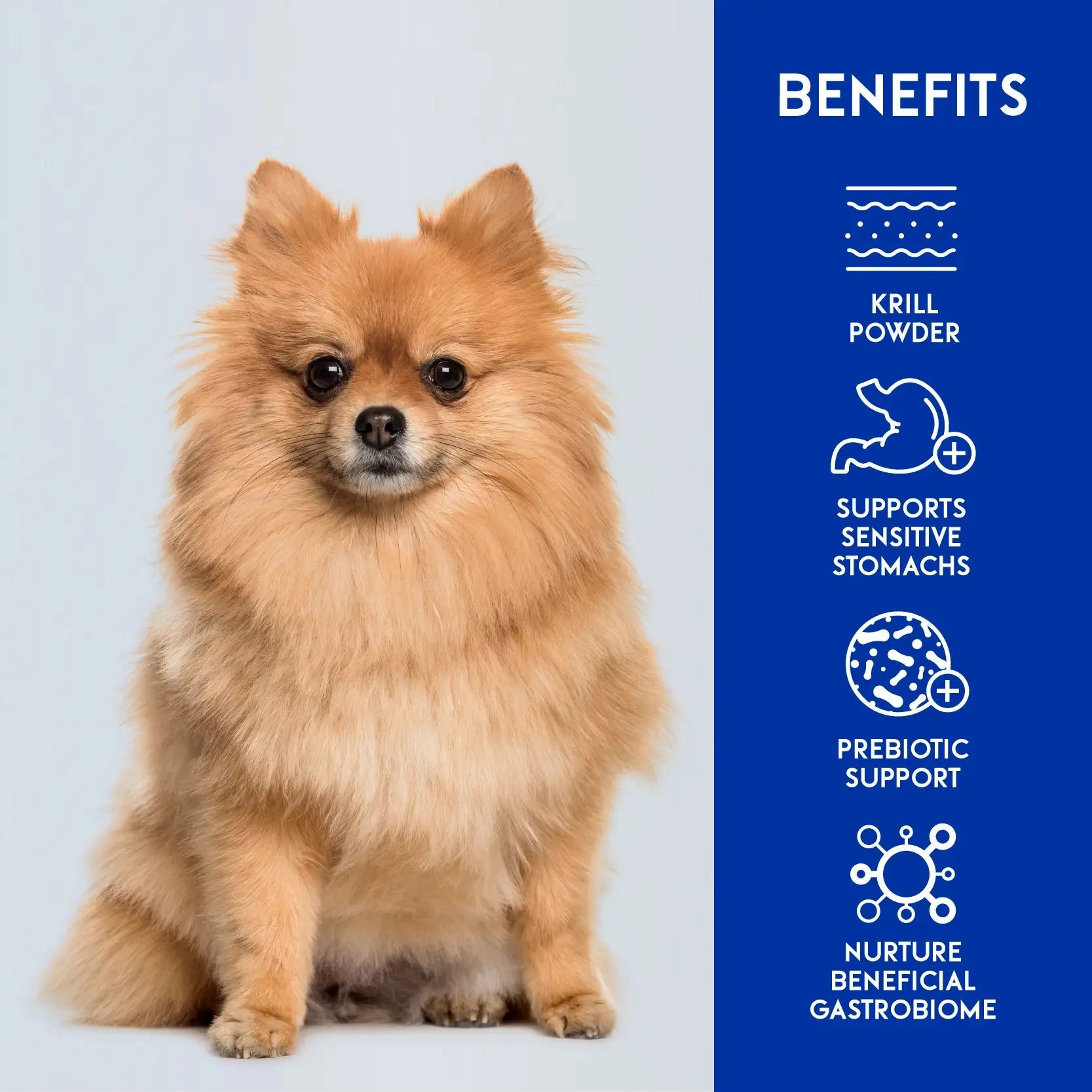 Animalkind Digestive  Dog Food - Goat & Chicken Freeze-Dried Raw
