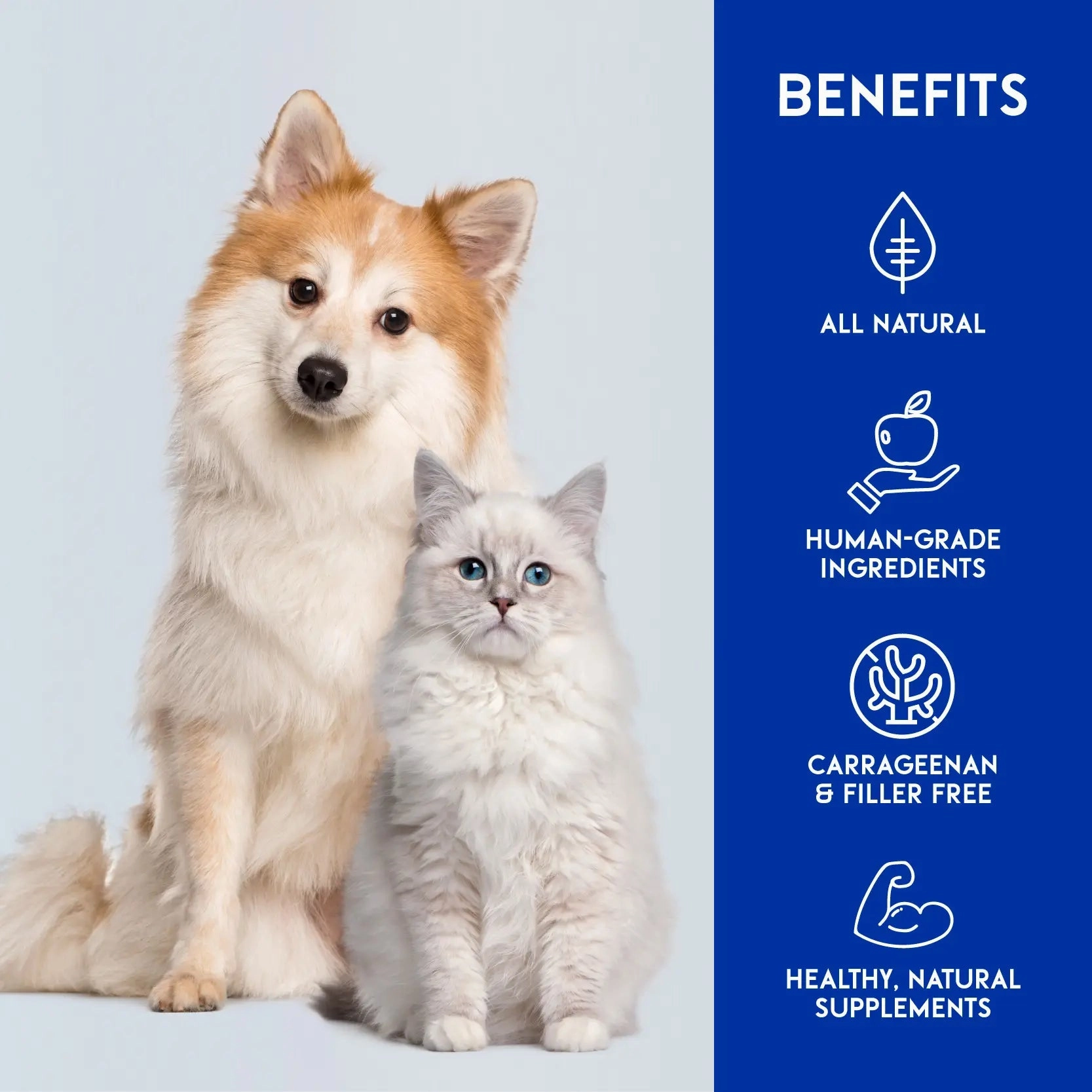 Animalkind Tuna & Shrimp Bisque Cans for Cats & Dogs