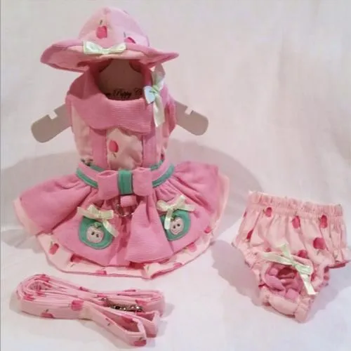 Apple Picking Dog Harness Dress Set