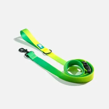 Aqua Waterproof Dog Leash