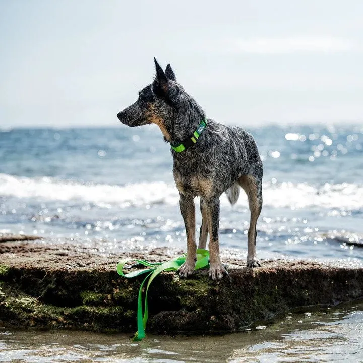 Aqua Waterproof Dog Leash