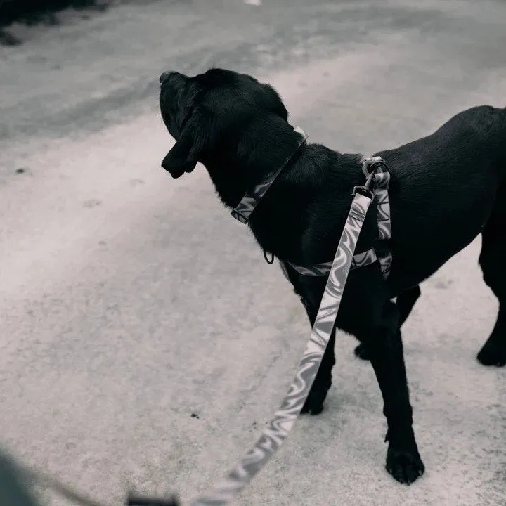 Aqua Waterproof Dog Leash