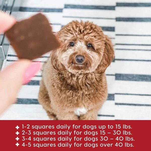 Ark Naturals Sea Mobility Joint Rescue Beef Recipe Jerky Treats