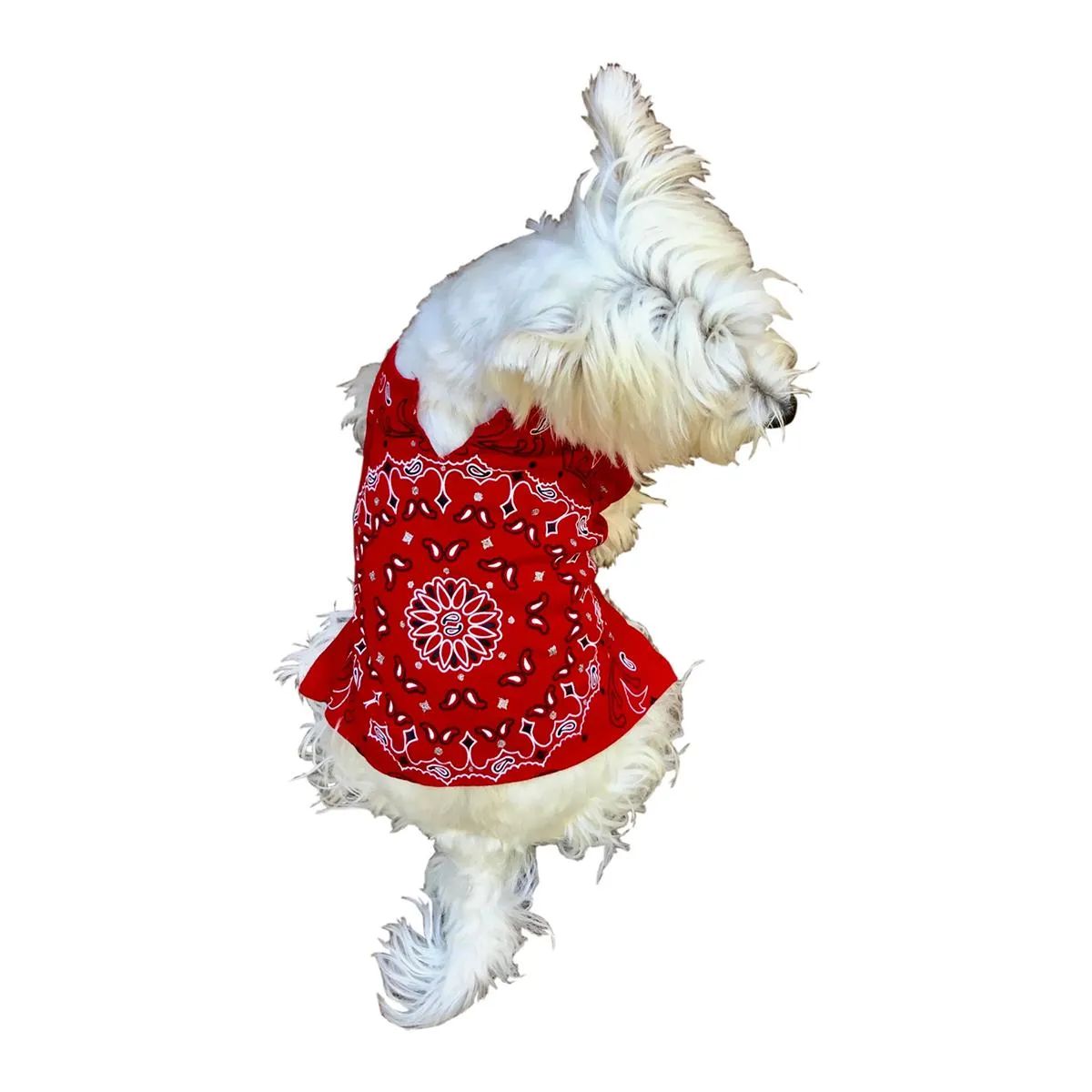 Bandana Print Dog Tee Red