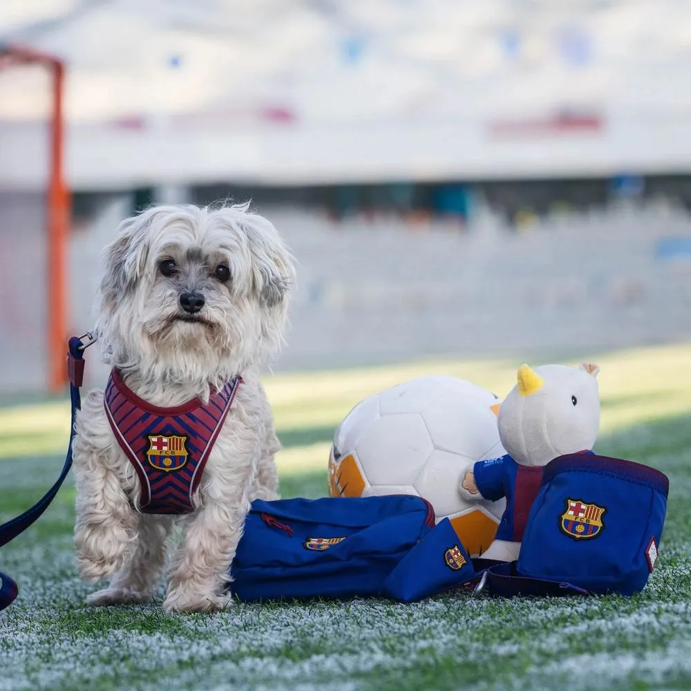 Barcelona Dog Treat Bag