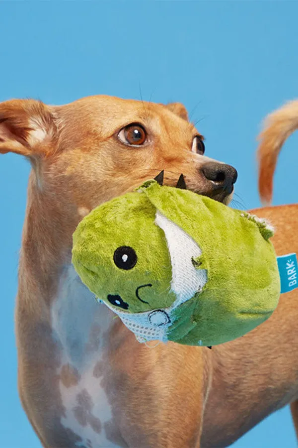 BARK Consuela the Hoppy Cactus Dog Toy