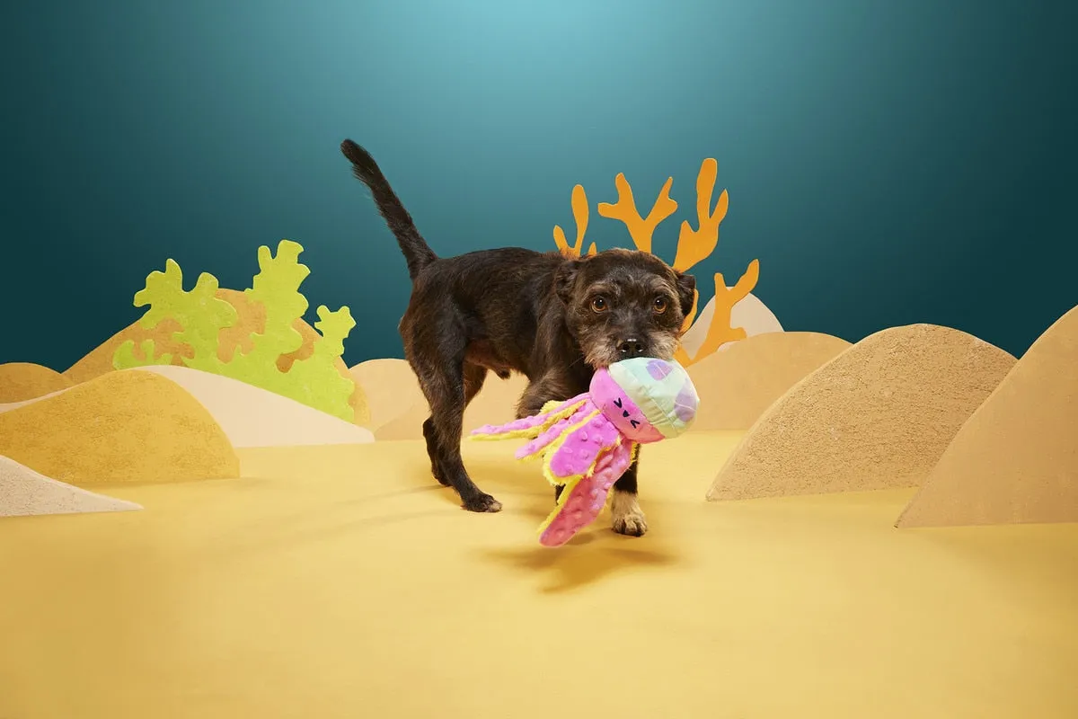 BARK Jellysquish Plush Dog Toy