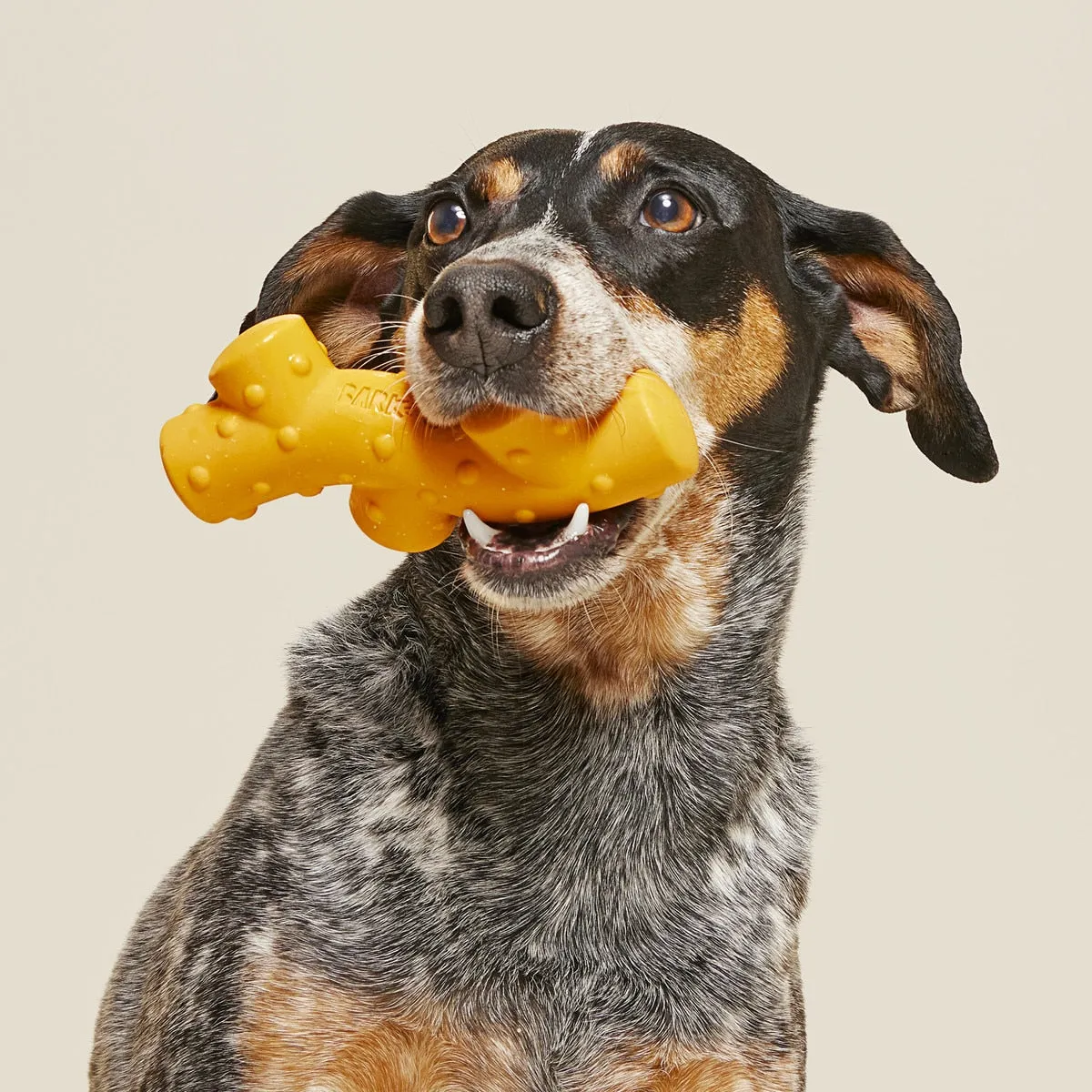 BARK Super Chewer Reef Teefer Dog Chew Toy