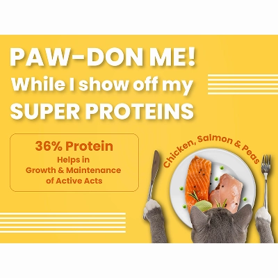 Bark Out Loud Salmon and Chicken Adult Cat Dry Food