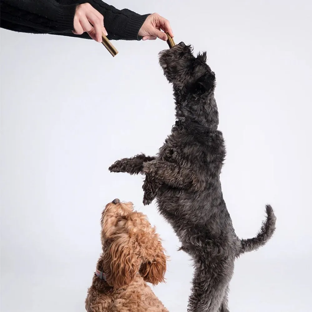 Bell & Bone - Lamb with Mint & Manuka Honey Dog Dental Treats