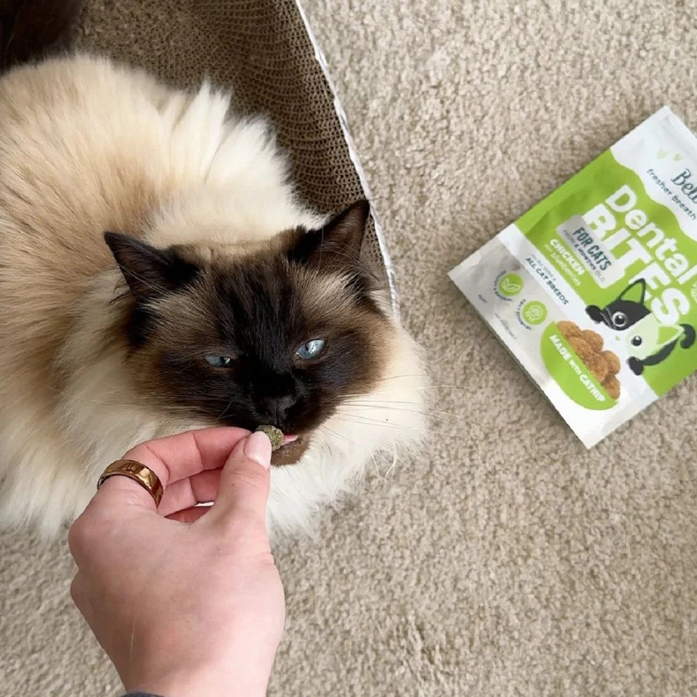 Bell & Bone - Chicken with Blueberries Dental Bites for Cats