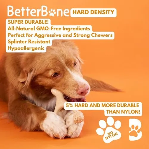 BetterBone Hard Density Wishbone Classic Flavor Dog Chew Toy