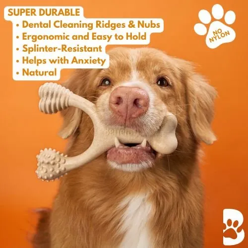 BetterBone Hard Density Wishbone Classic Flavor Dog Chew Toy