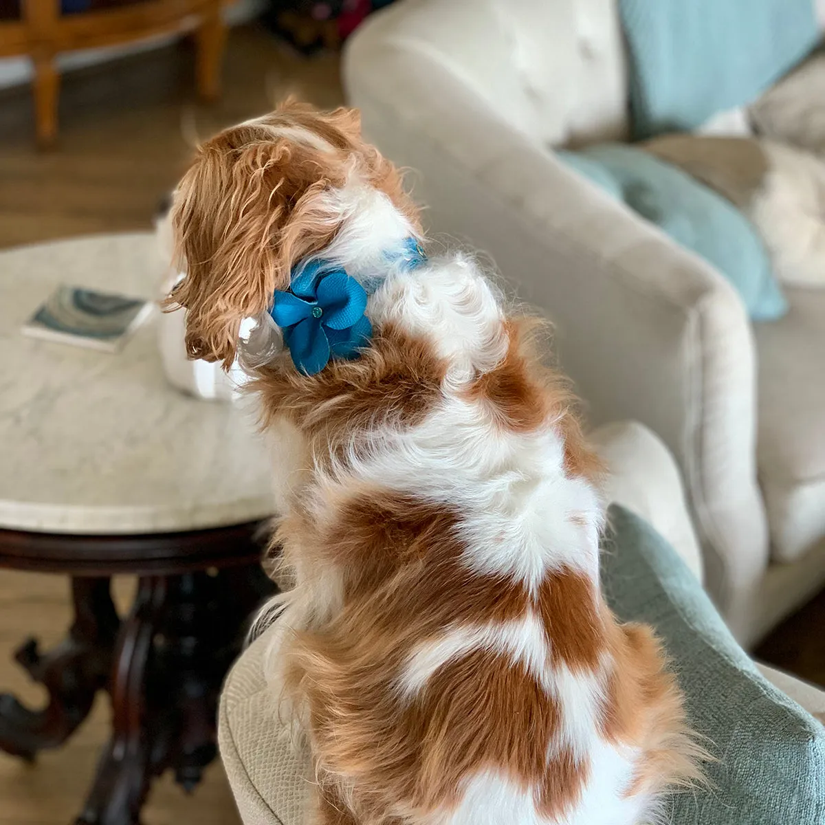 Beverly Classic Rhinestone Leather Dog Flowerette Slider Caribbean