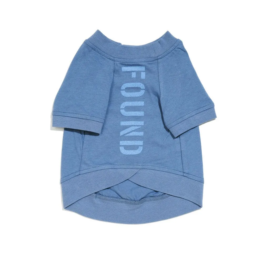 Big Full Heart Dog Tee Slate Blue/Sky