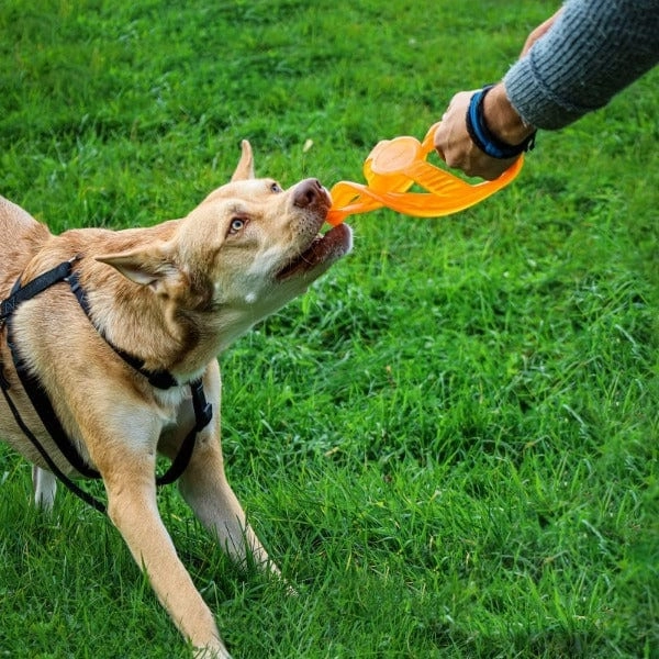 BIONIC Toss-N-Tug