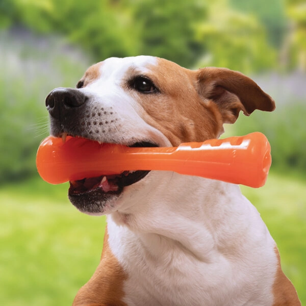 BIONIC Urban Stick Dog Toy