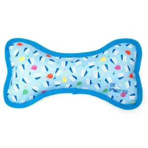 Birthday Boy Bone Dog Toy