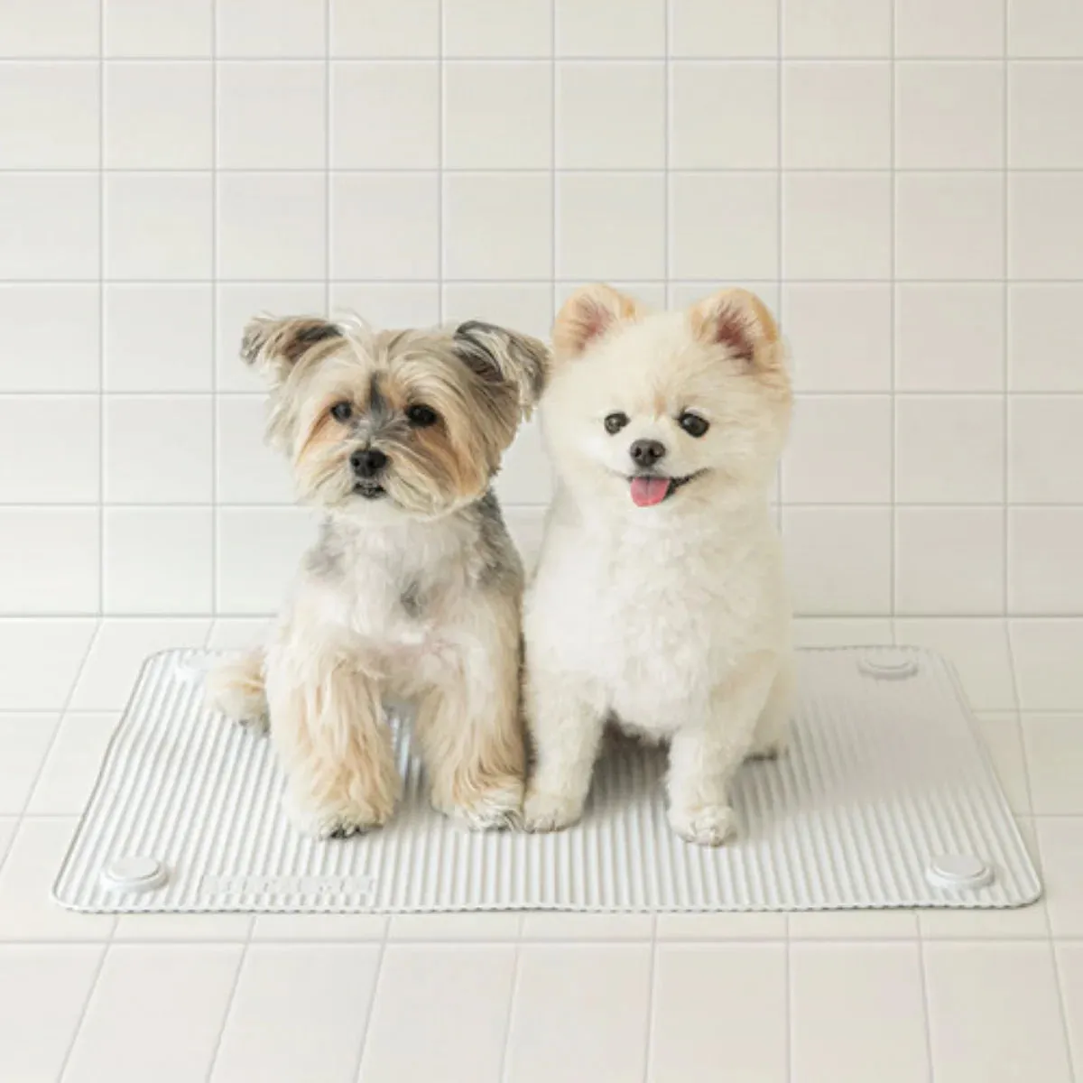 Bite Me - Nonslip Multi Bath Mat