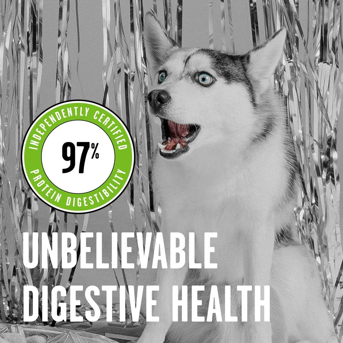 Bixbi Rawbble Freeze-Dried Pork Recipe Dog Food