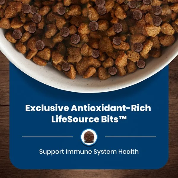 Blue Buffalo Life Protection Salmon & Brown Rice Recipe Adult Dry Dog Food