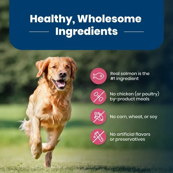 Blue Buffalo Life Protection Salmon & Brown Rice Recipe Adult Dry Dog Food