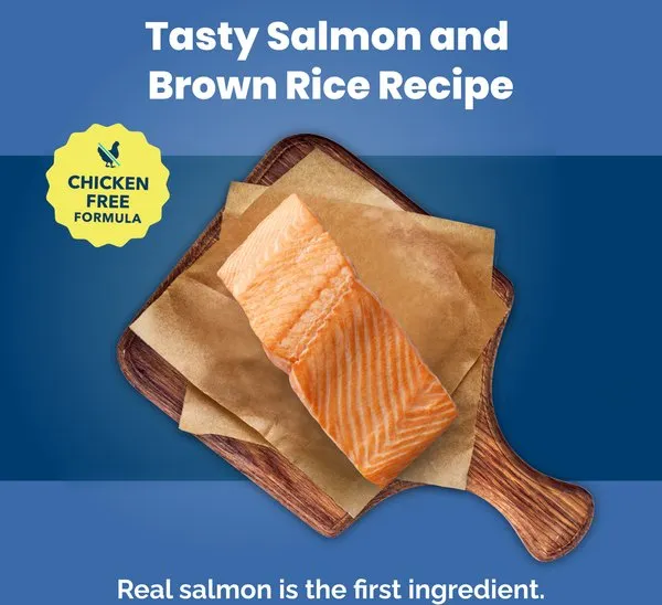 Blue Buffalo Life Protection Salmon & Brown Rice Recipe Adult Dry Dog Food