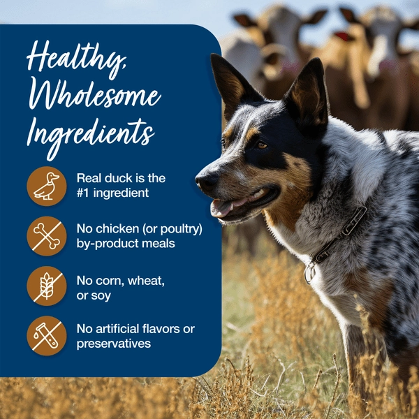 BLUE Buffalo Hunter's Stew Recipe Canned Dog Food