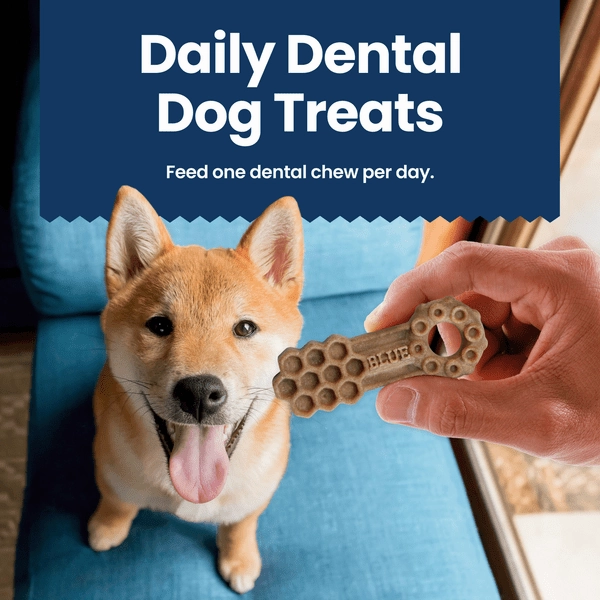 BLUE Dental Chews