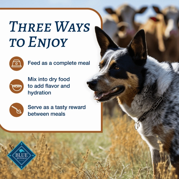 BLUE Family Favorite Recipes Turkey Day Feast Canned Dog Food