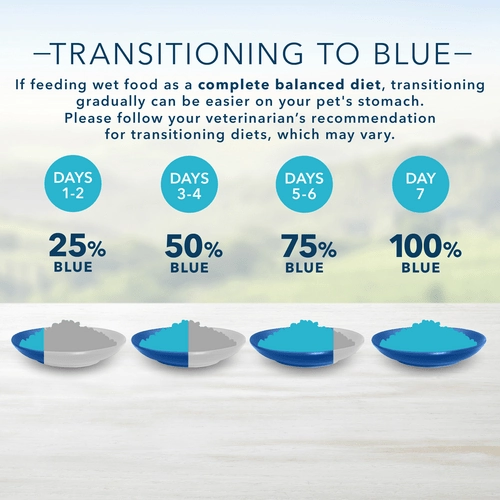 BLUE Homestyle Recipe Beef Dinner Canned Dog Food