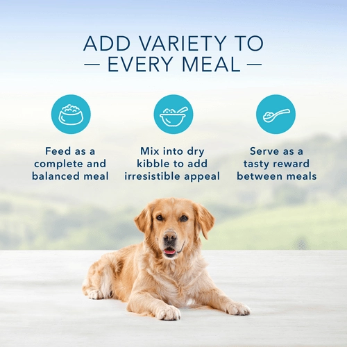 BLUE Homestyle Recipe Beef Dinner Canned Dog Food