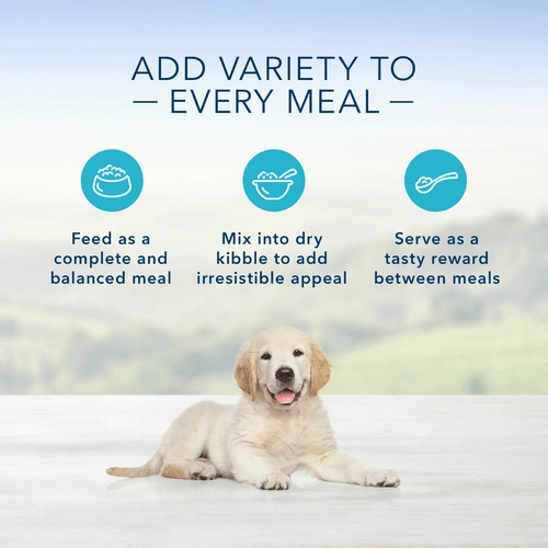 BLUE Homestyle Recipe Chicken Dinner & Vegetables Canned Puppy Food