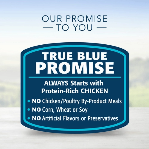 BLUE Homestyle Recipe Chicken Dinner & Vegetables Canned Puppy Food