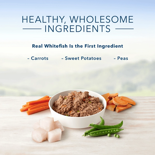 BLUE Homestyle Recipe Fish & Sweet Potato Dinner Canned Dog Food