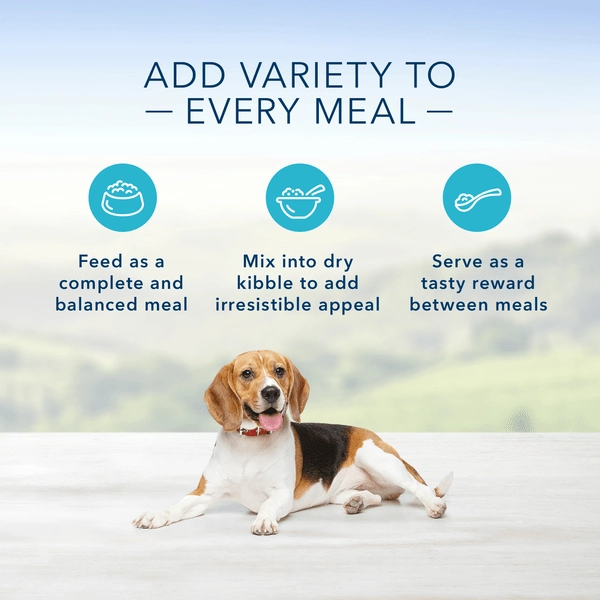 BLUE Homestyle Recipe Fish & Sweet Potato Dinner Canned Dog Food