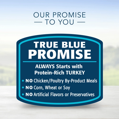 BLUE Homestyle Recipe Turkey Meatloaf Dinner Canned Dog Food